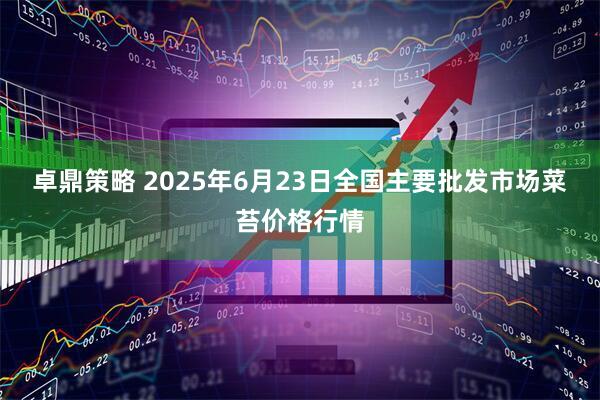 卓鼎策略 2025年6月23日全国主要批发市场菜苔价格行情