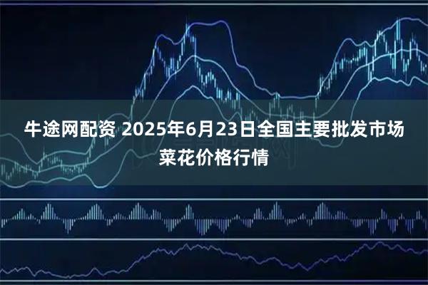 牛途网配资 2025年6月23日全国主要批发市场菜花价格行情
