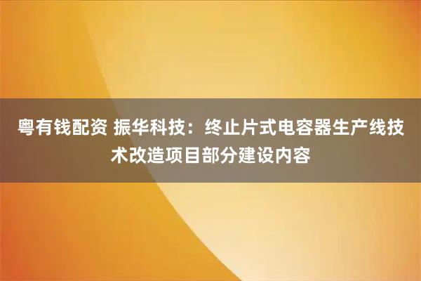 粤有钱配资 振华科技：终止片式电容器生产线技术改造项目部分建设内容