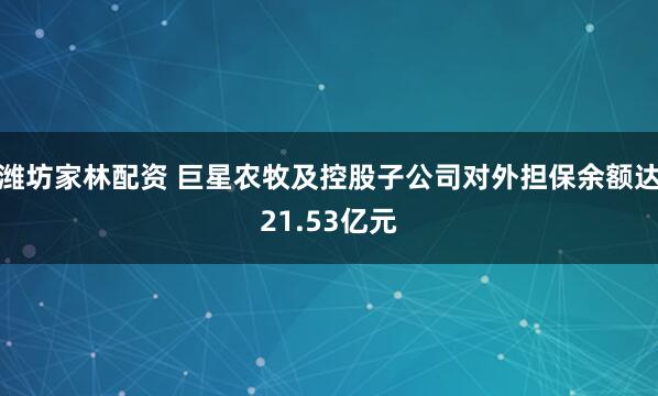 潍坊家林配资 巨星农牧及控股子公司对外担保余额达21.53亿元